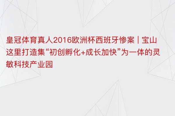 皇冠体育真人2016欧洲杯西班牙惨案 | 宝山这里打造集“初创孵化+成长加快”为一体的灵敏科技产业园