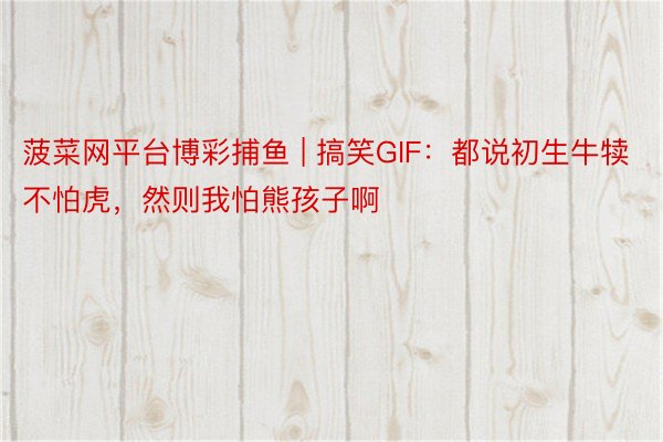 菠菜网平台博彩捕鱼 | 搞笑GIF：都说初生牛犊不怕虎，然则我怕熊孩子啊